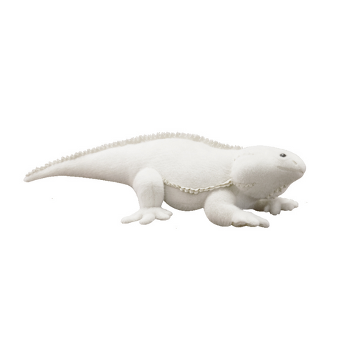 AWHITE- Lizard