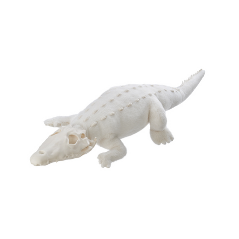AWHITE - Crocodile