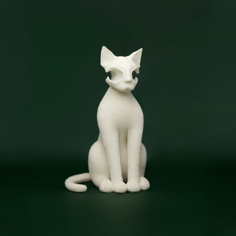 AWHITE - Cat