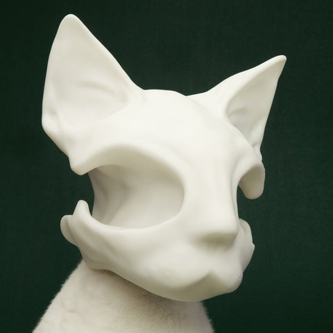 AWHITE - Cat