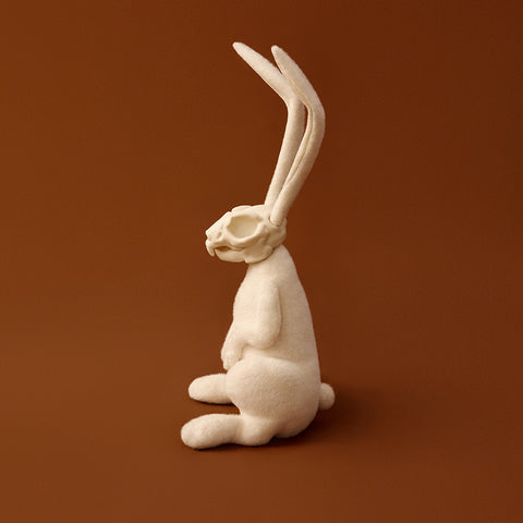 AWHITE - Rabbit