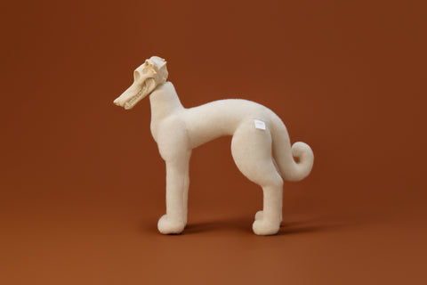 AWHITE - Italian Greyhound