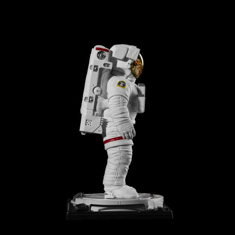 NASA Spaceman 3 Mini