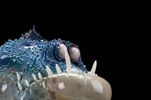 Toothy Fish – drivepro